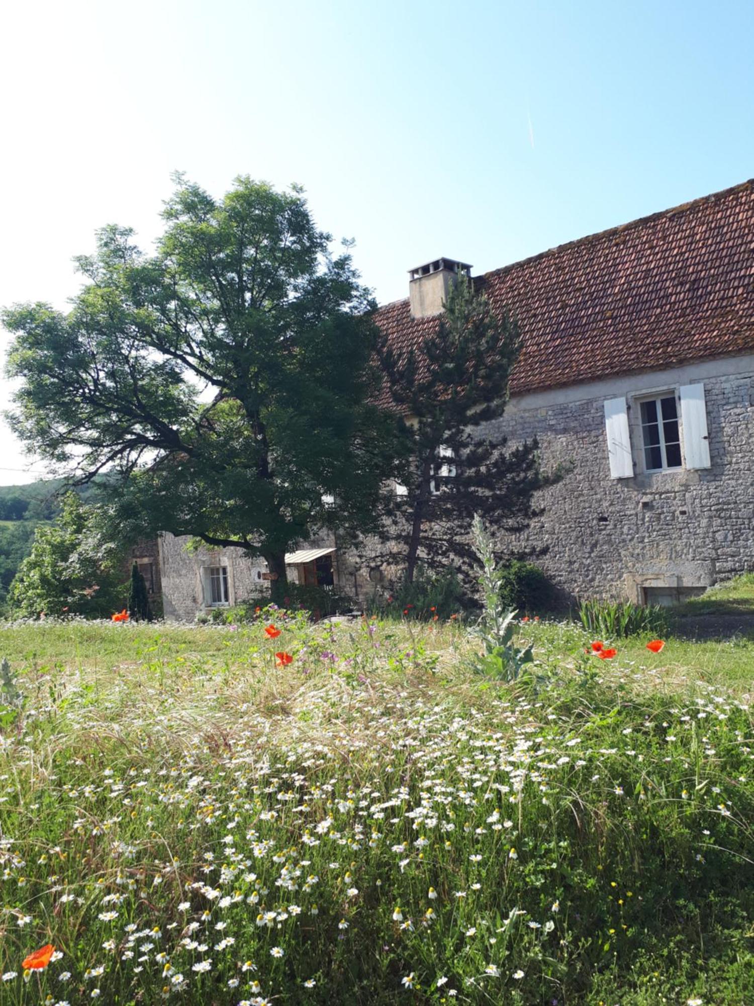 Hotel La Ferme De Roquedure Montfaucon  Exterior foto